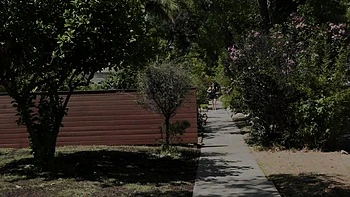 Grooby girls hardcore anal fuck with ts pornstar videos