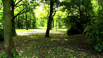 Adolescente brune fait une branlette risquée en POV dehors videos