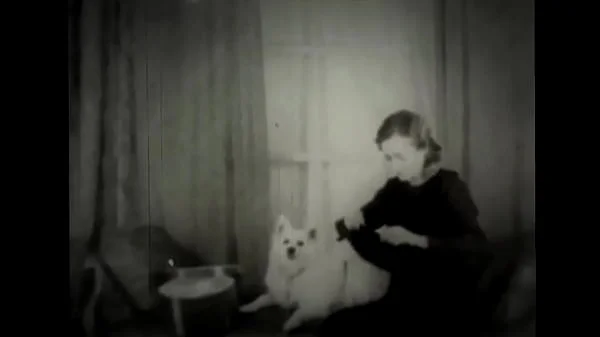 Dark Lantern Entertainment presents 'Beauty And The Beast' videos