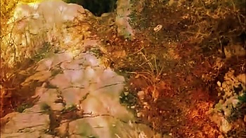 Foda selvagem ao ar livre no chão duro - Verão indiano videos