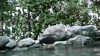 Asian Teen Fucked Outdoors in Uncensored Shower videos