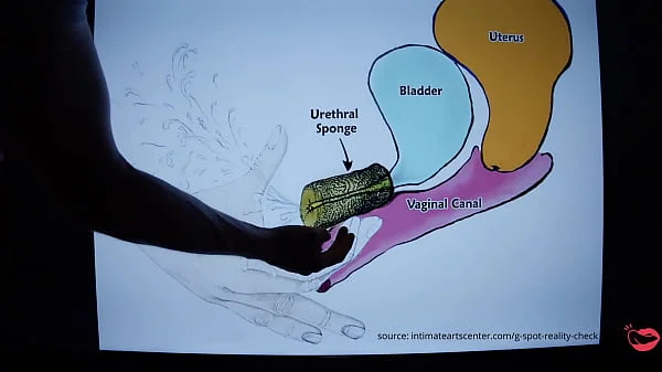 SQUIRTING TUTORIAL !!! How to make girl SQUIRT ?! MrPussyLicking videos