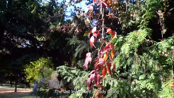 FIRST VLOG from Romania: walk around the city and romantic evening - VERLONIS videos