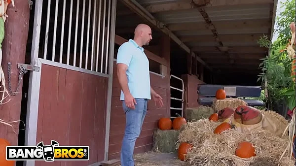 BANGBROS - Annual Halloween Compilation 2022 (Includes New Scenes!) videos