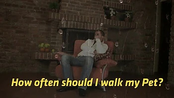 Angel's blonde movie videos