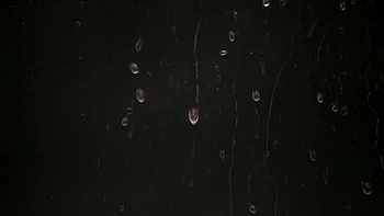 VIPissy - 18 action videos