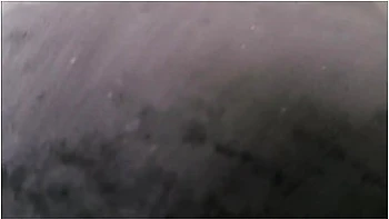 Big Step Sis Moves Into Your Room - Zoey Uso videos