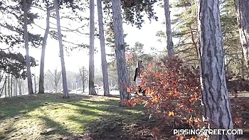 Pissing Street - pissing action videos