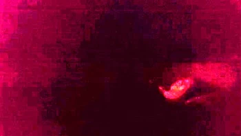 Amateur sex hidden cam videos